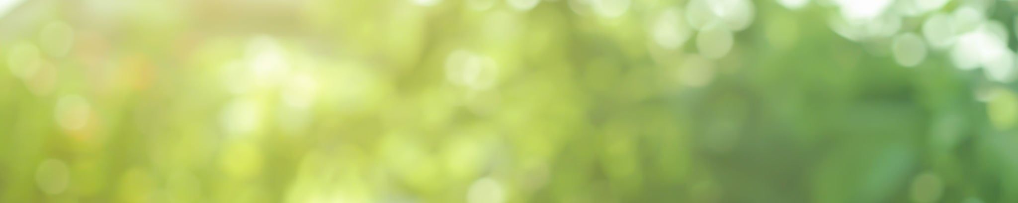 Cover for Mary Lee Wade's Obituary