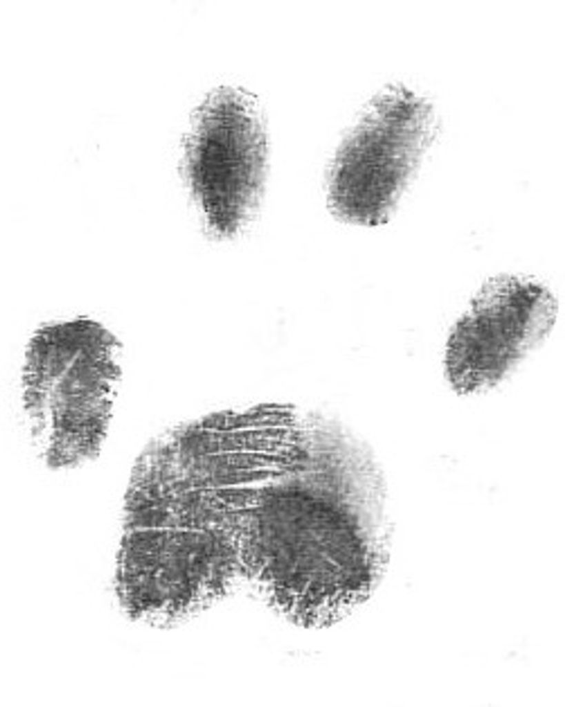 Miss Marge Wadsworth Profile Photo