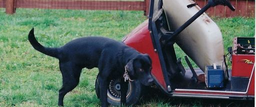 Leroy D. Stephenson photo gallery thumbnail 8 of 114