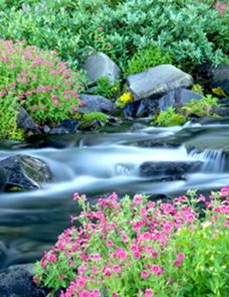 Concepcion "Connie" Luna Mata Profile Photo