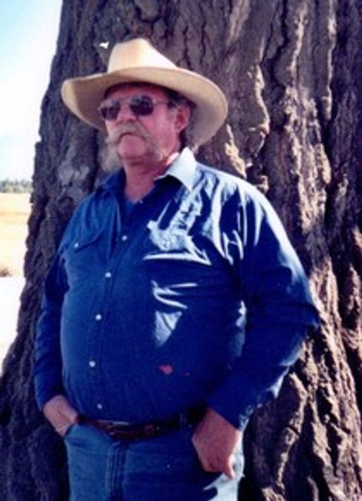 Roy Sinclair