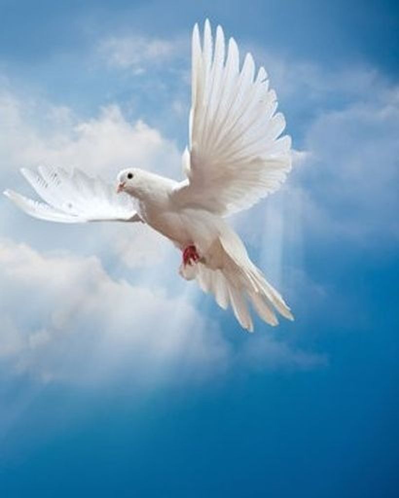 Mary V. Hall Profile Photo