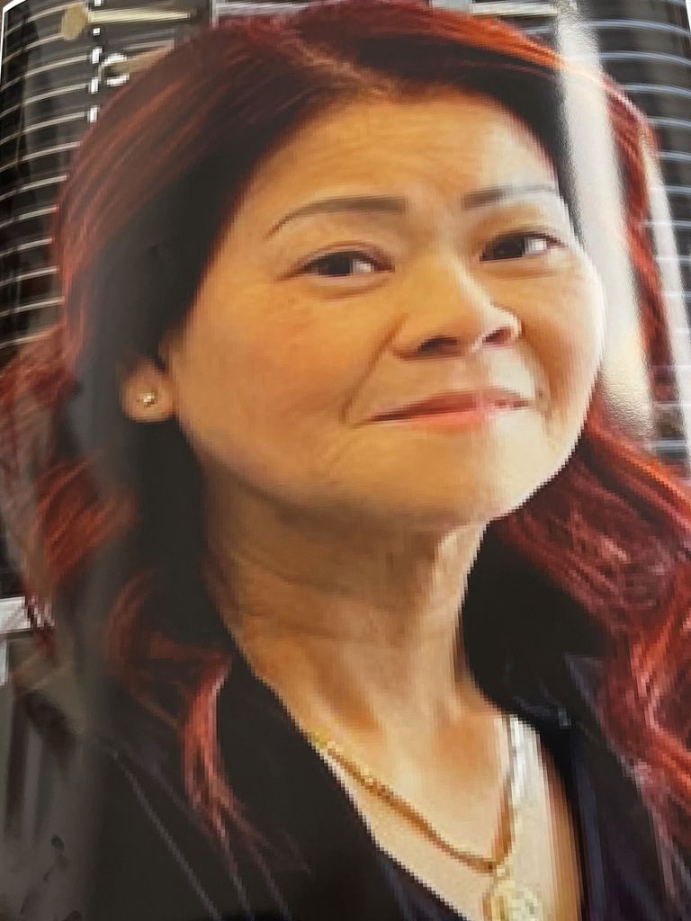 Huu Ngan Chu