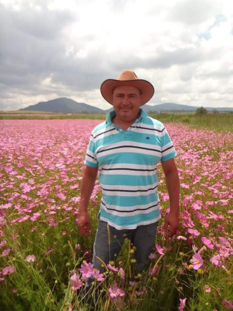 Pedro Colchado Olvera Profile Photo