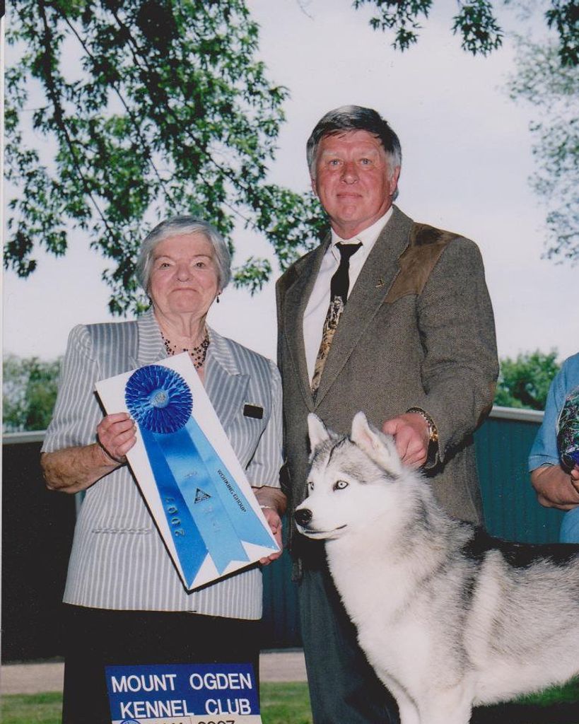 Wayne Carlton Stenlund Profile Photo