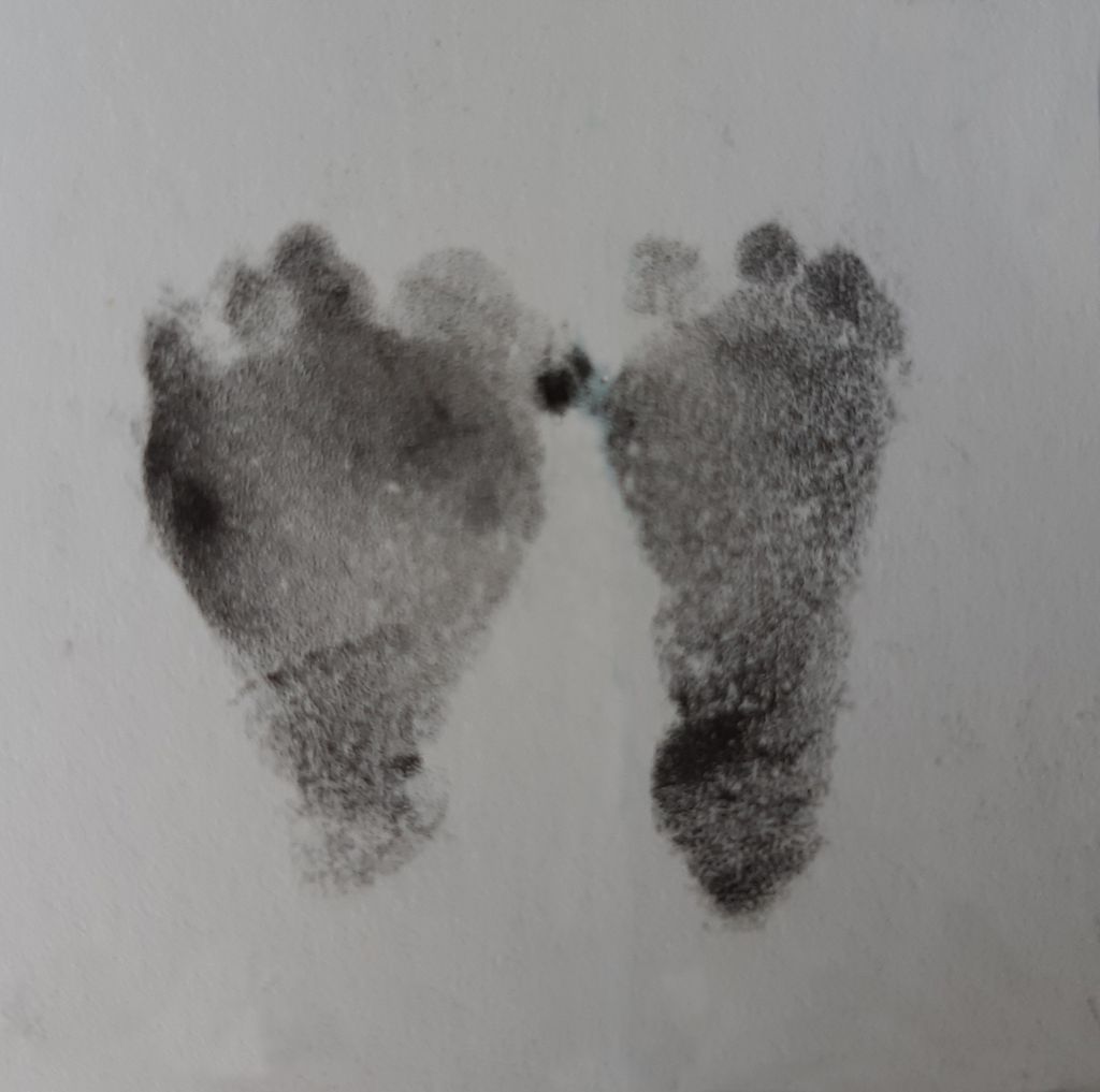 Vesper Lynd Petersen Profile Photo