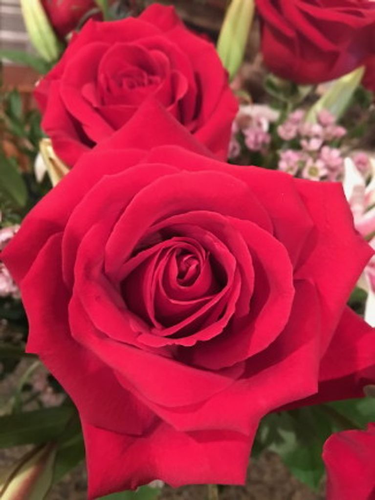 Christine Johnson Smith