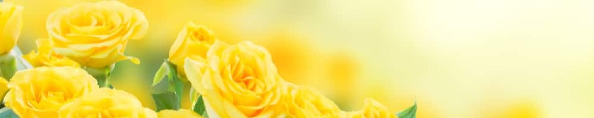 Cover photo for Aggie Sylvia Lujan's Obituary