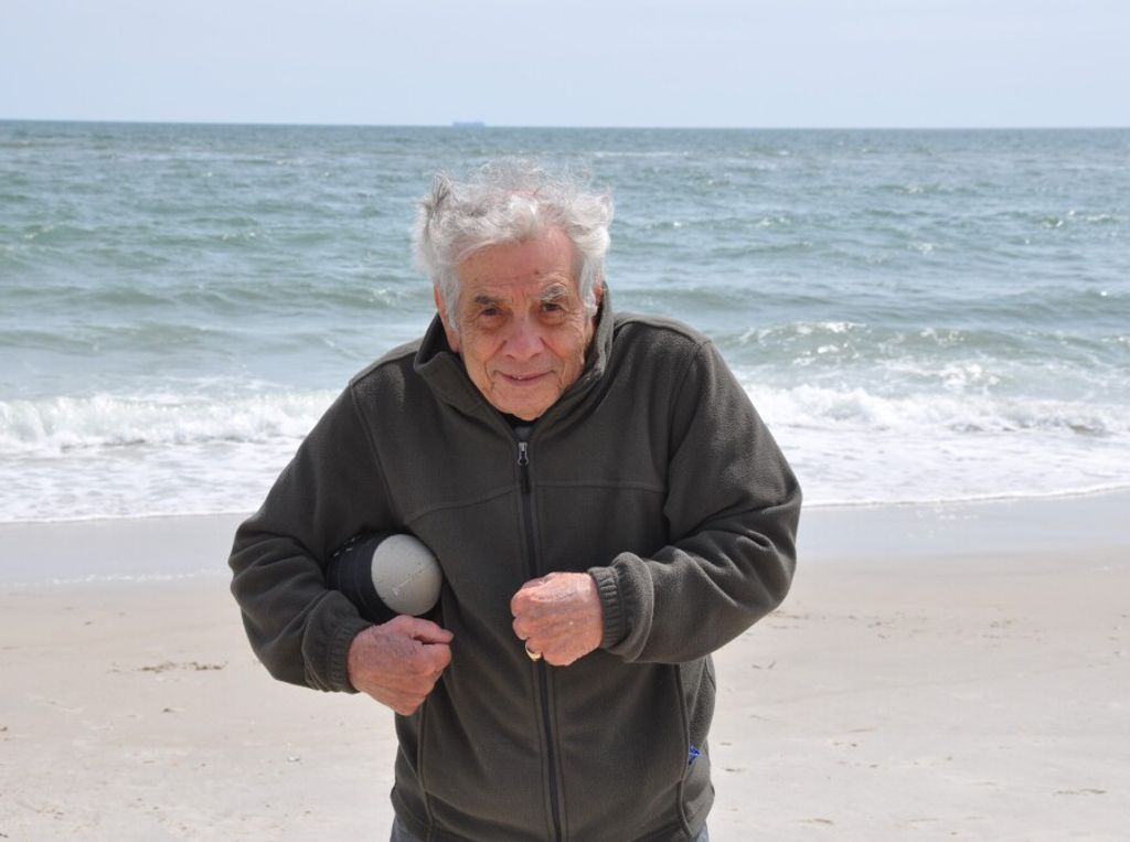 Domenico Morriello