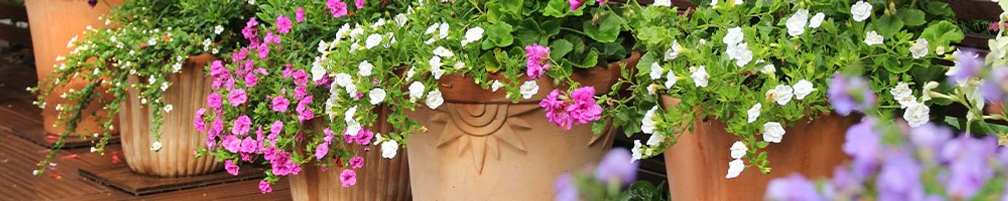 Cover for William Patrick's Obituary