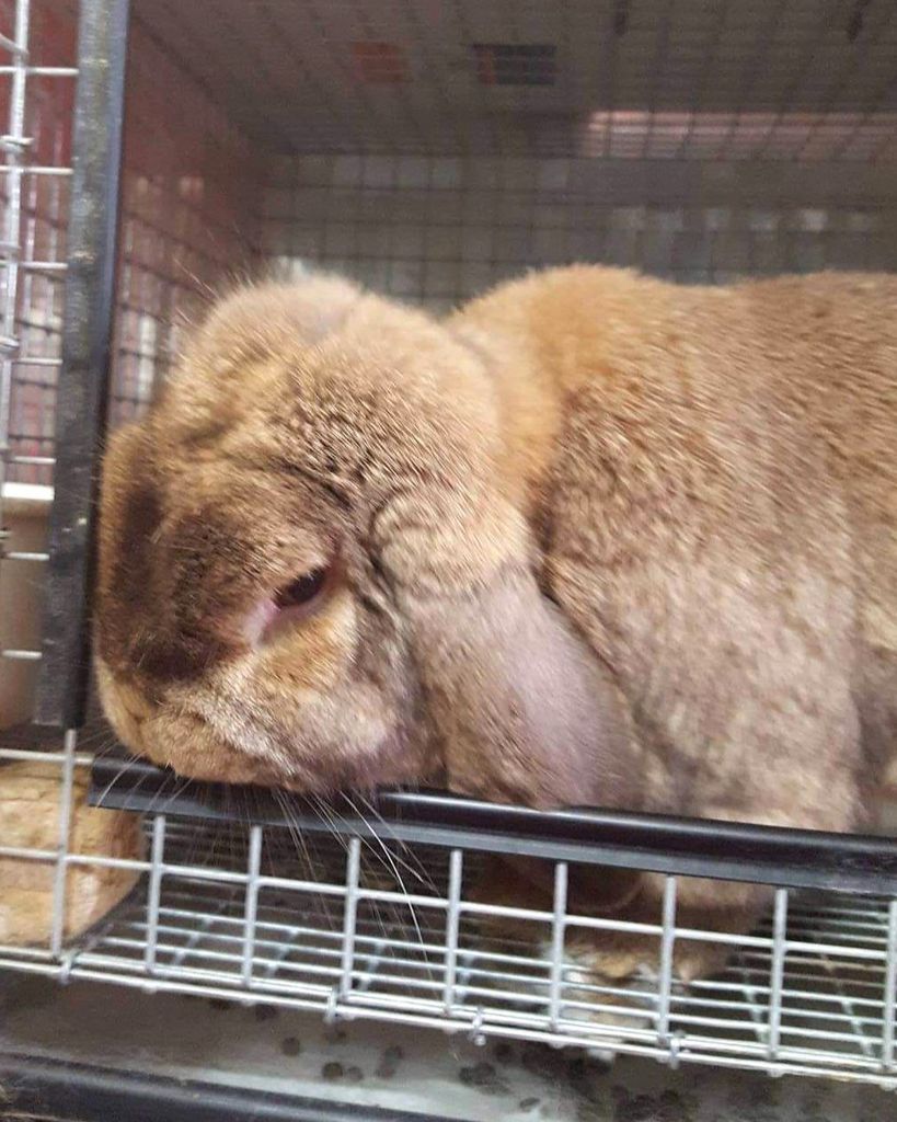 Spice Profile Photo