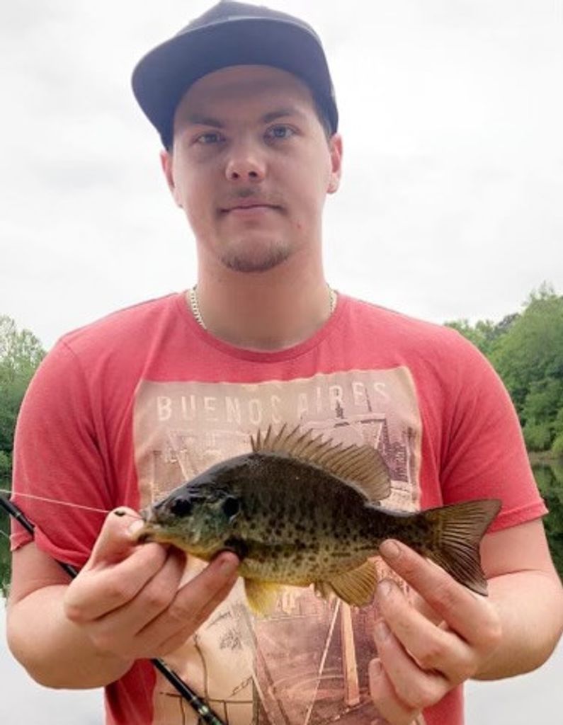 Dustin Lilley Profile Photo