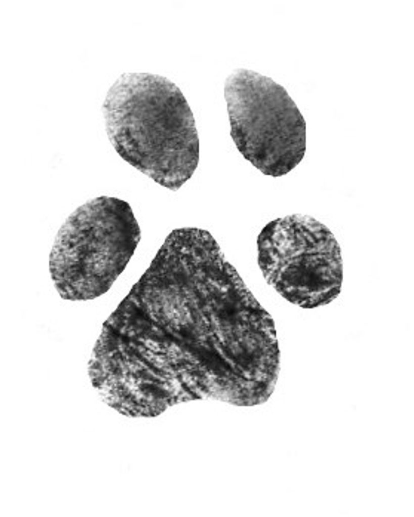 Reggie Yiengyouav Profile Photo