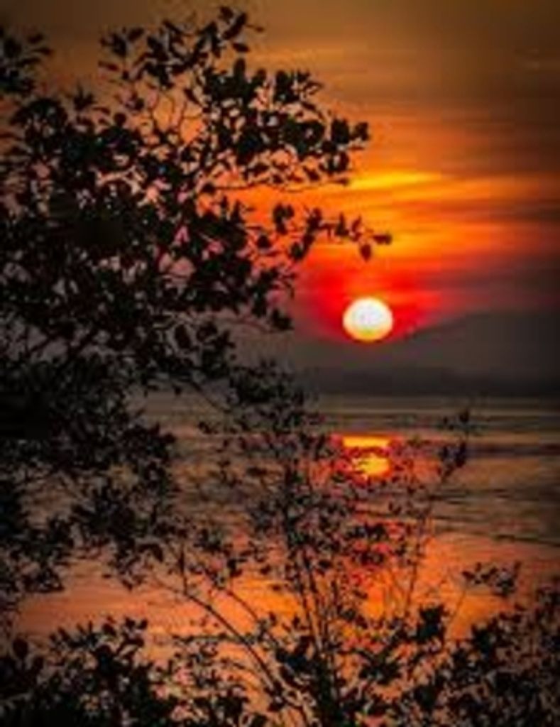 Robert Pierson Meier