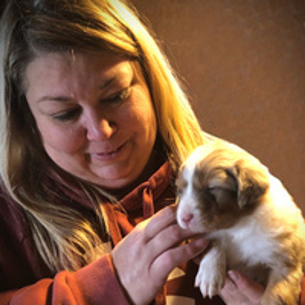 Tabitha D Howie Profile Photo