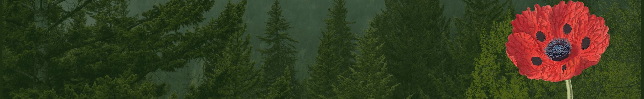 Cover for Albert Edward Essex's Obituary