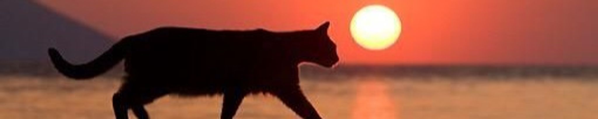 Cover for Gerald Gonzalez's Obituary