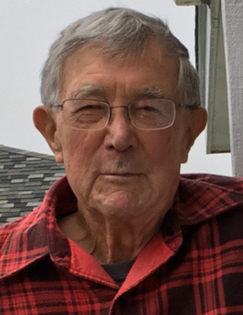 Nick Mrja Profile Photo