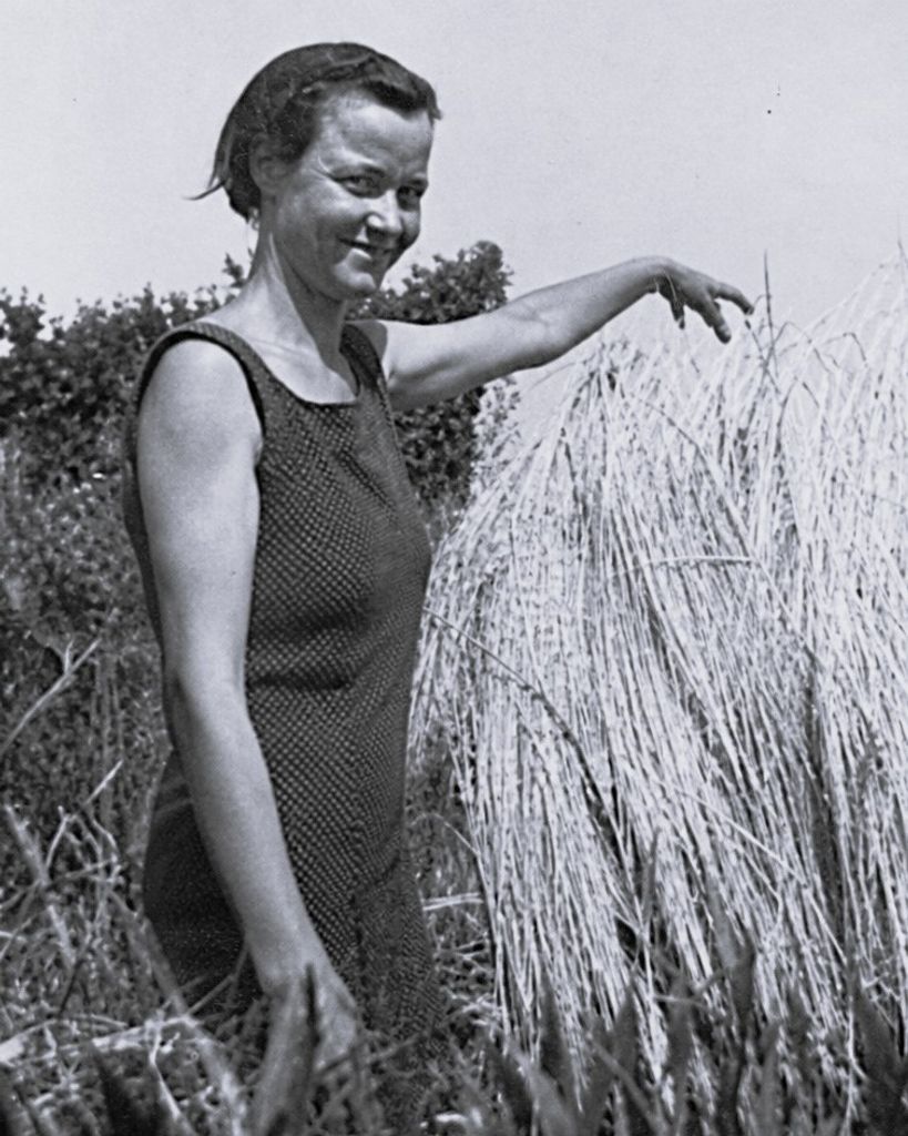 Elizabeth Wright Profile Photo