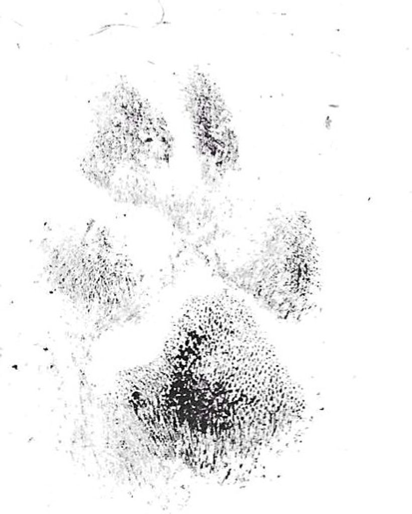 DJ Kiser Profile Photo