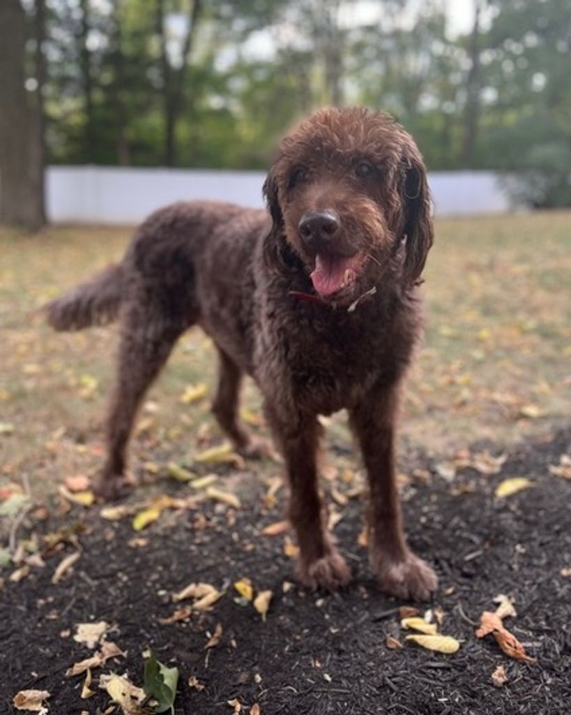 Boomer Goble Profile Photo