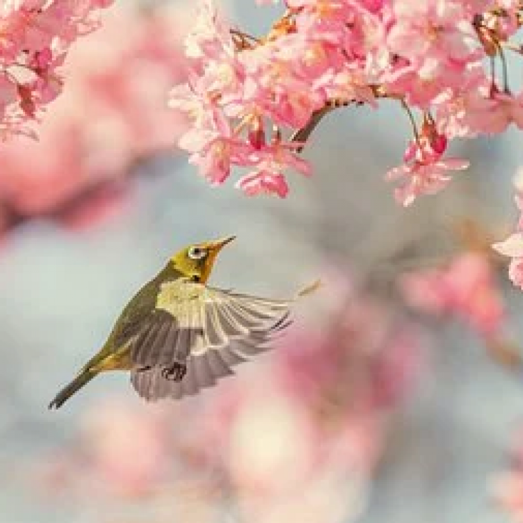 Barbara Ann Billy Profile Photo