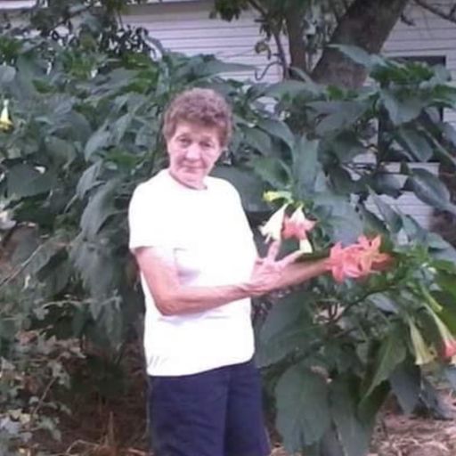 Nancy Ruth Clark Profile Photo