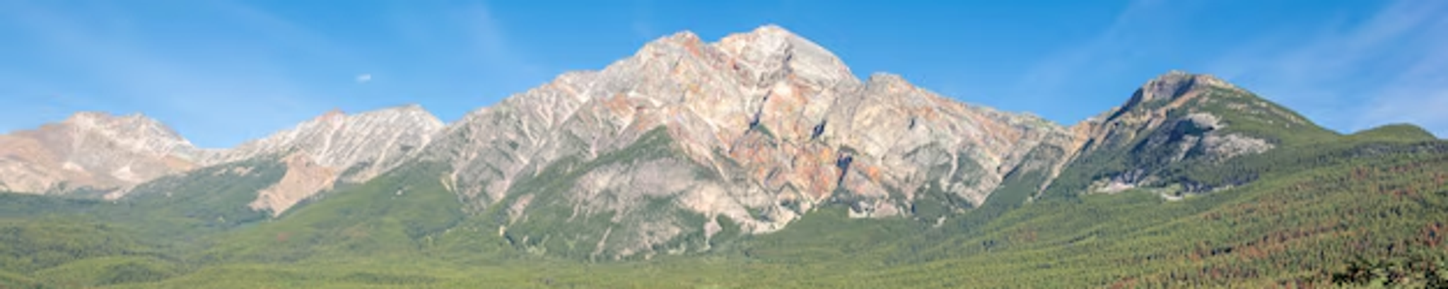 Cover for Violet Emily Ross's Obituary