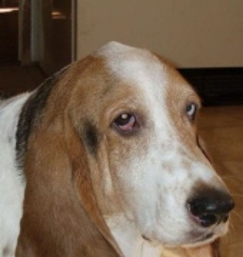 Max Pothoff Profile Photo