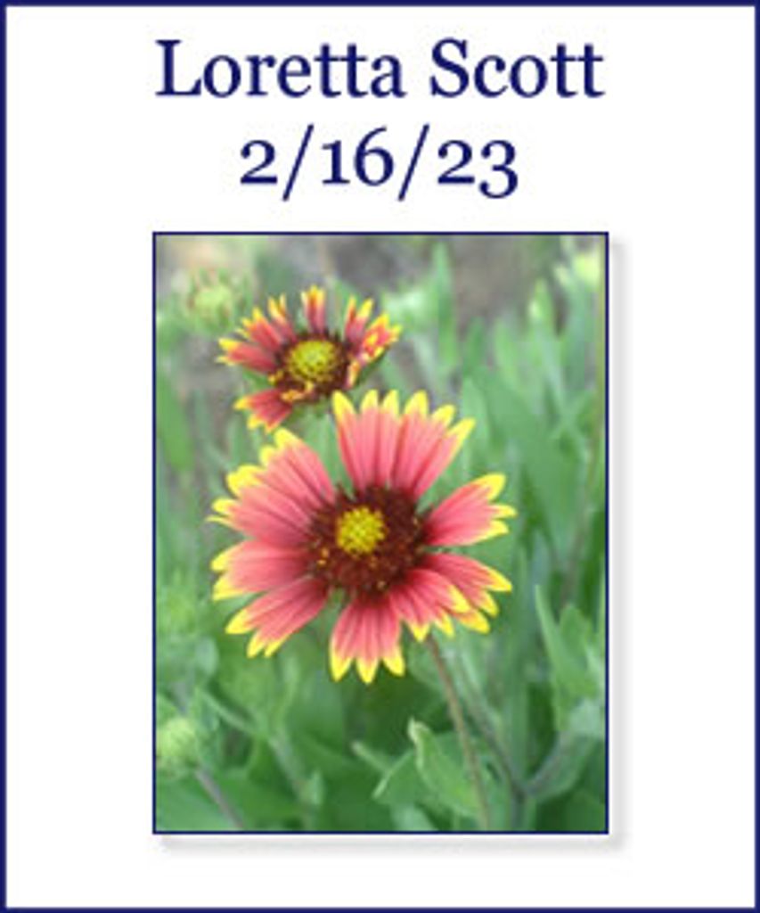 Loretta Scott