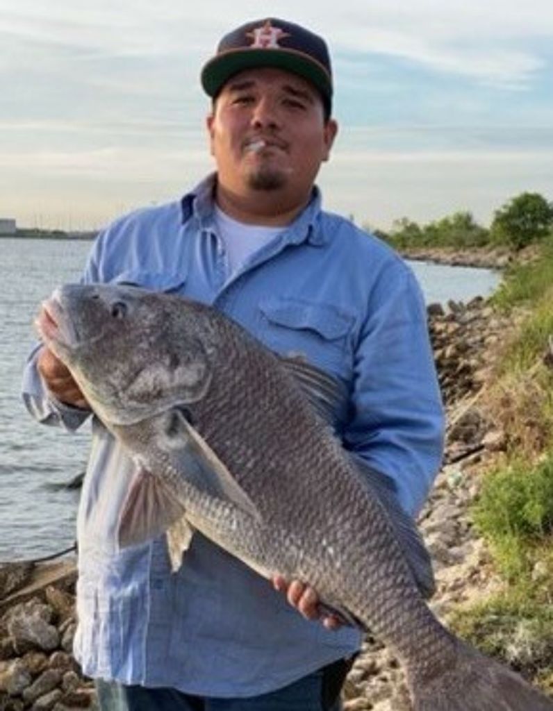 Rene Sylvester Hernandez Profile Photo