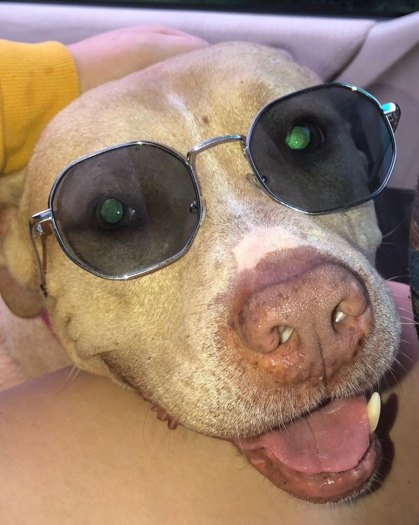 Van Sellers-Penhollow