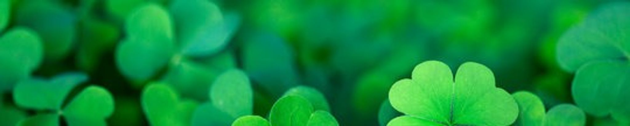 Cover photo for Patricia Ann Antonella's Obituary