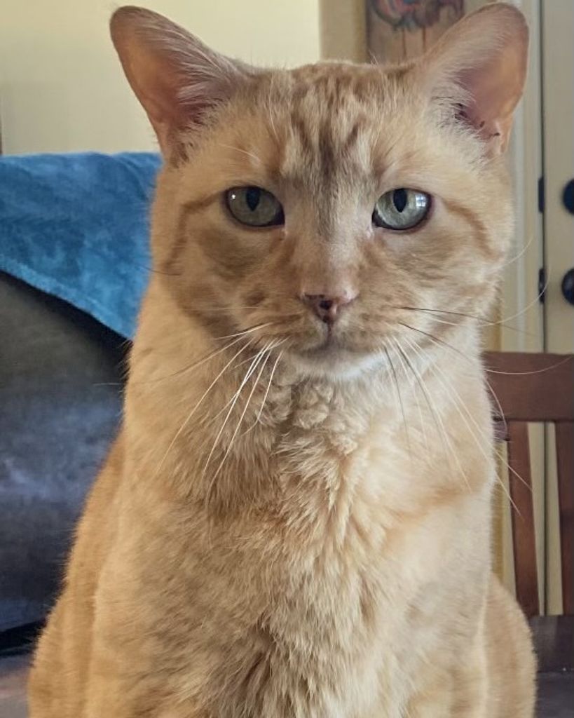 Sunny Davis Profile Photo