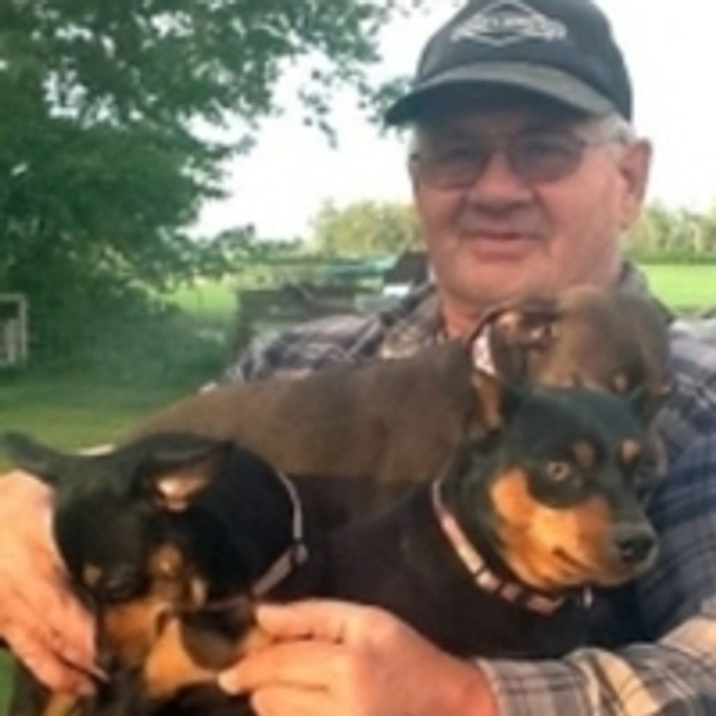 Richard J. Stelzer