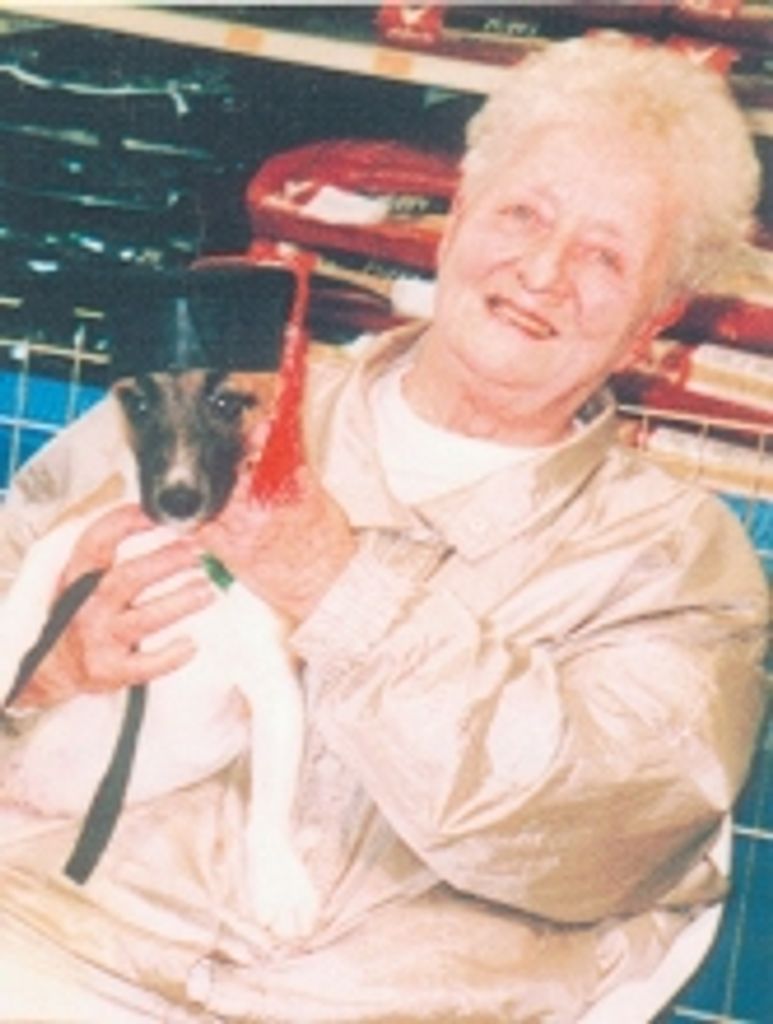 Nancy V. Blazer