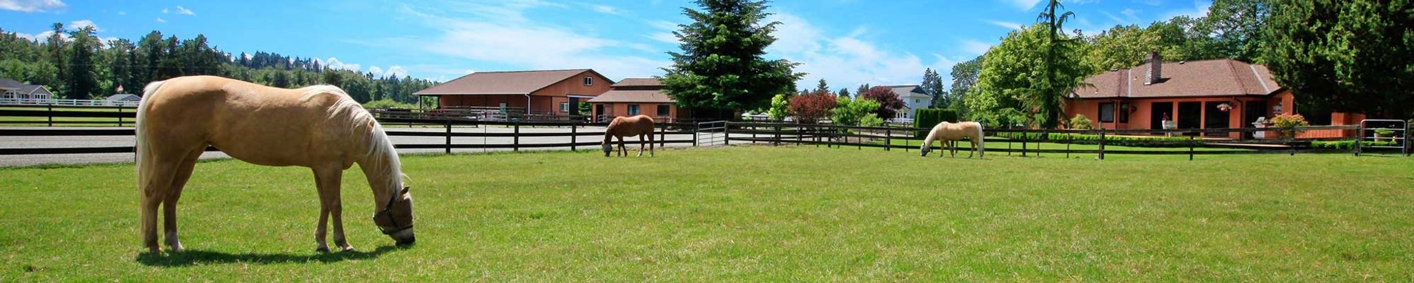 Cover for Donna M. Rassulo's Obituary