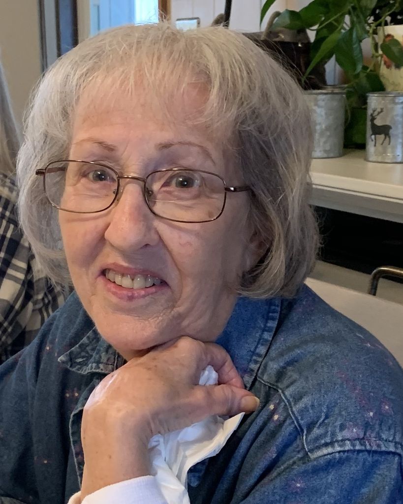 Janet L. Blazer