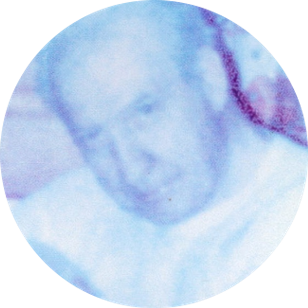 Donald I. "Tex" Pirches, Sr.