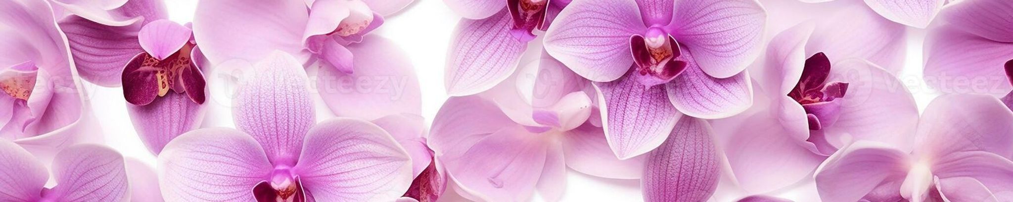 Cover for May Lay Fu's Obituary