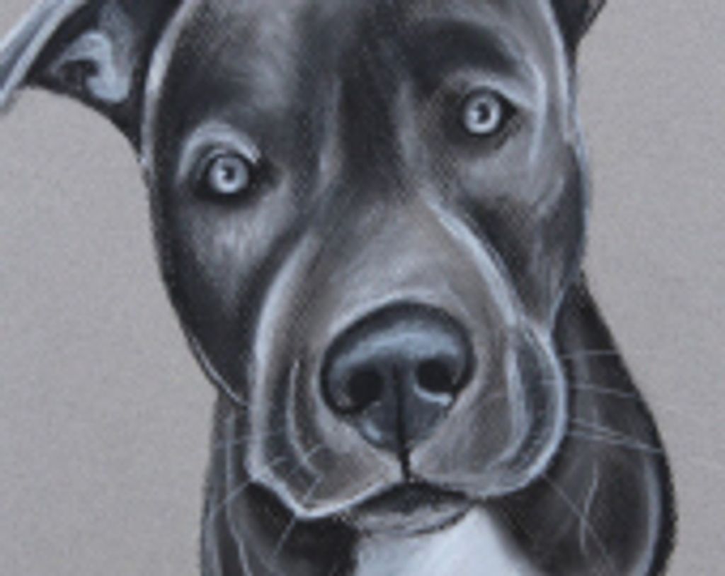 Junior Dennison Profile Photo