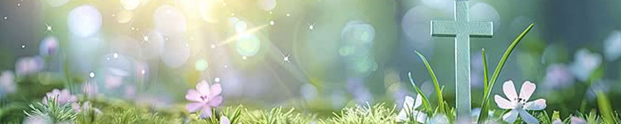 Cover for Phyllis G. Koeller's Obituary