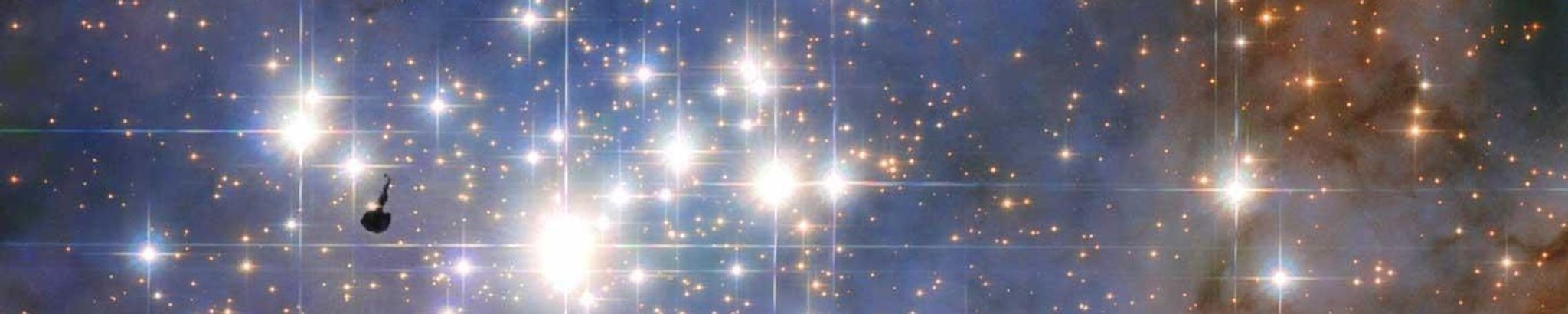 Cover for Norman D. Sagami's Obituary