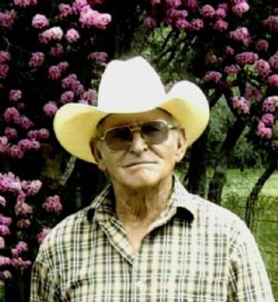 Tom Hollis