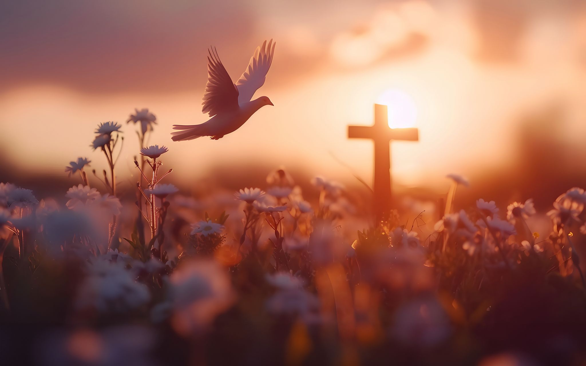 Cover photo for Linda Jones's Obituary