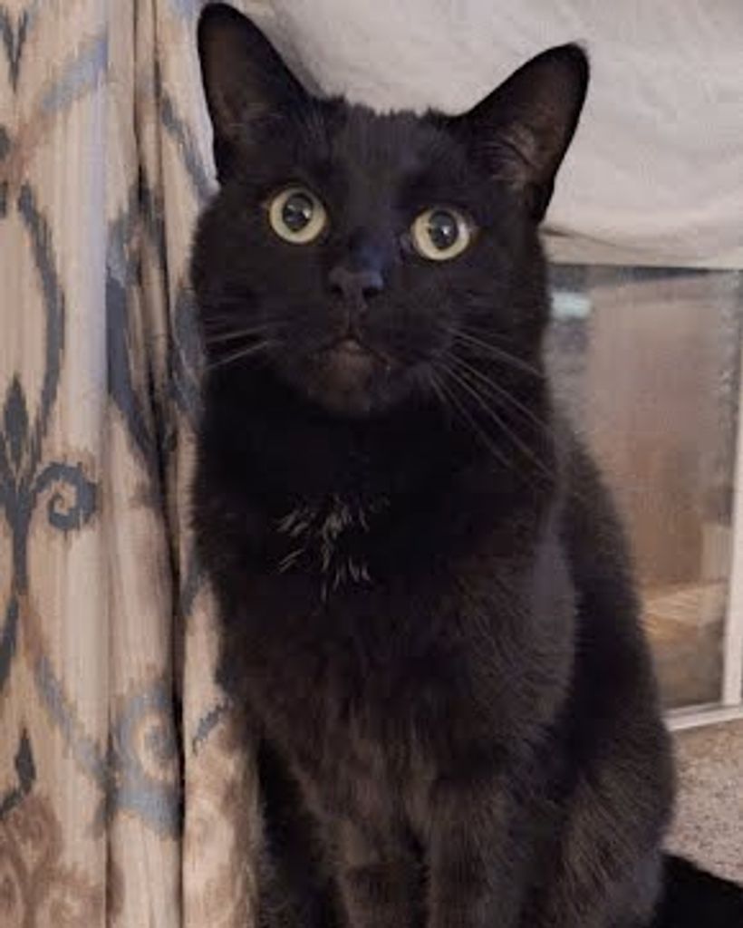 Loki Talbott Profile Photo