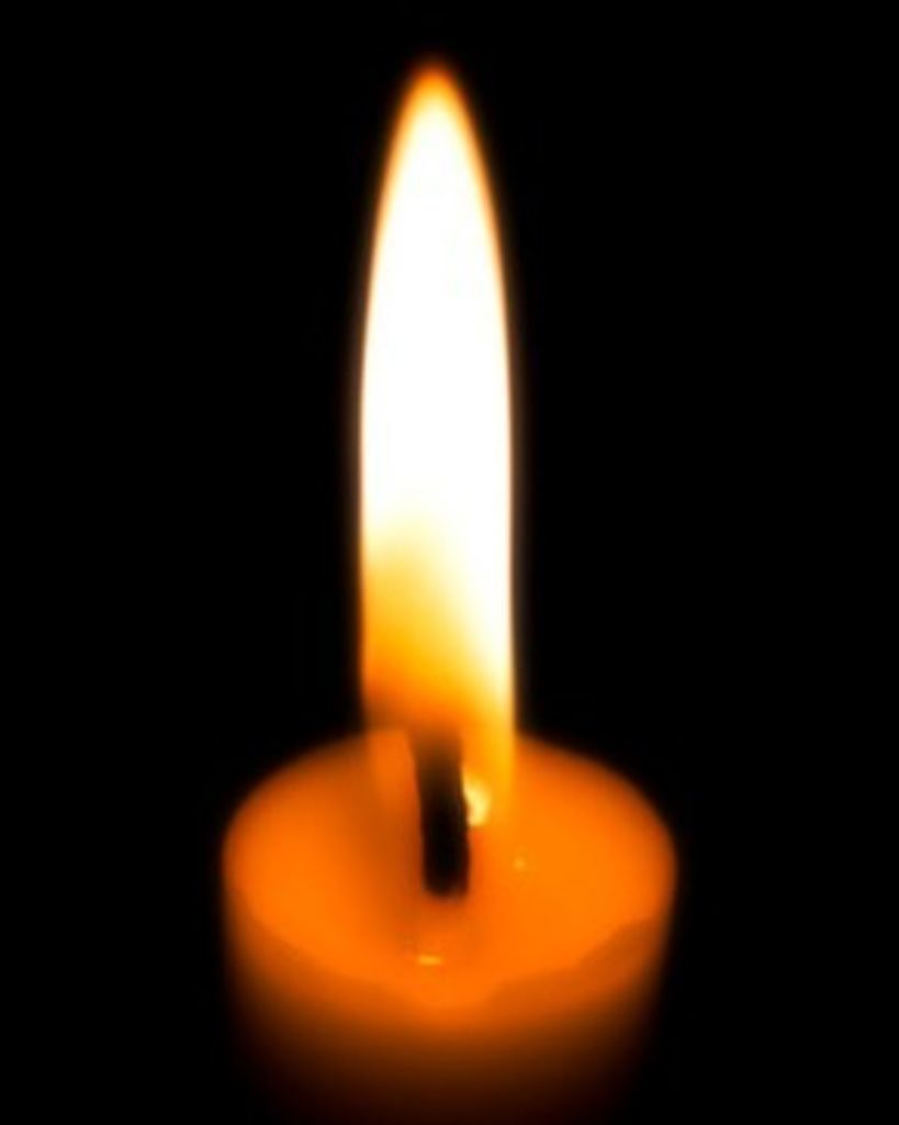 Sandra Lee Laufer Profile Photo