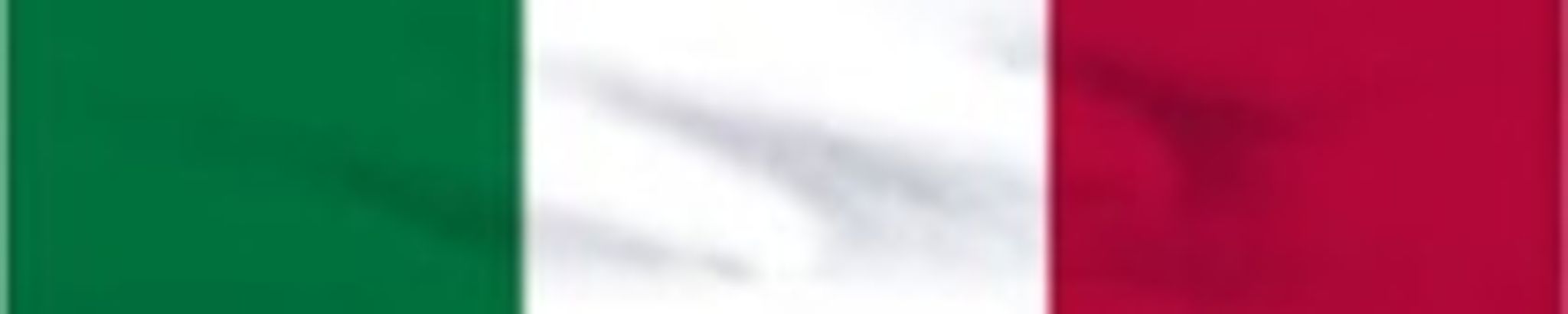 Cover for Dominic J. Mottillo's Obituary