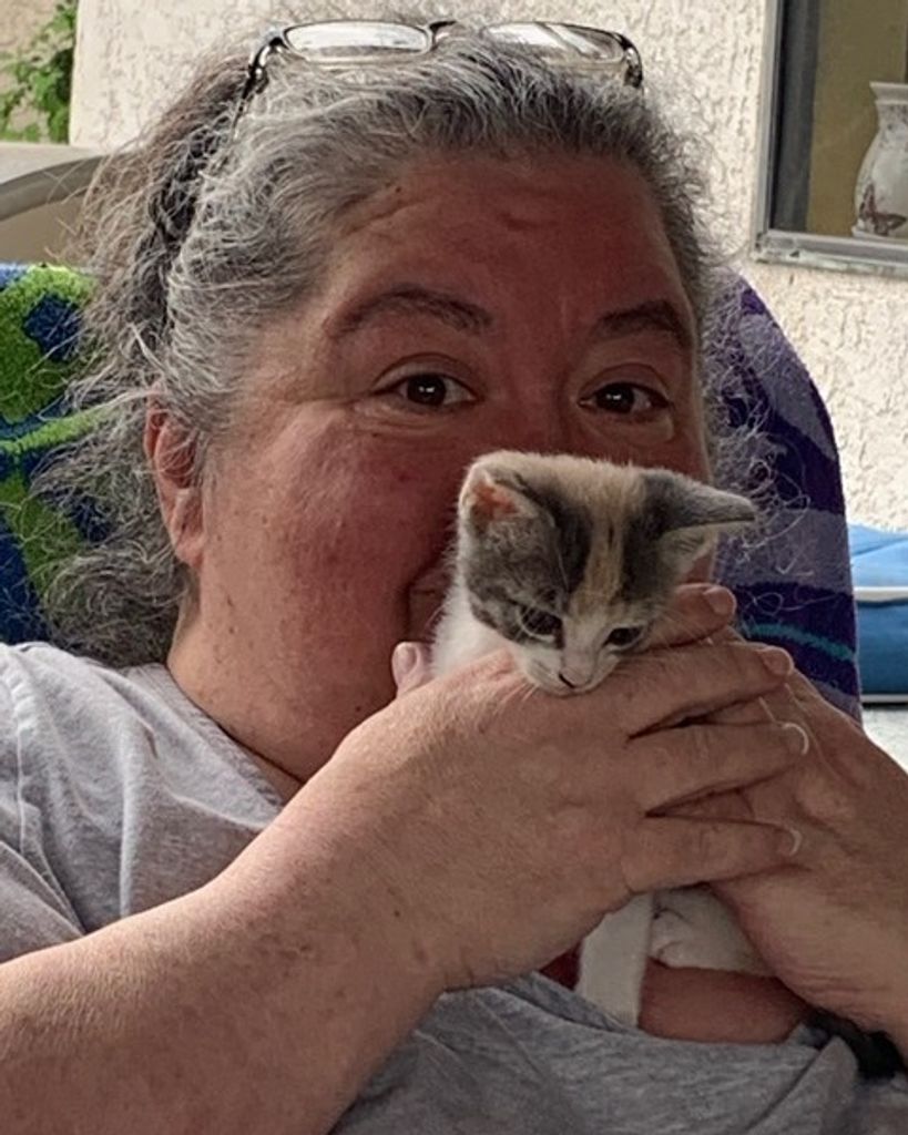 Jodi Angeline Yaccino