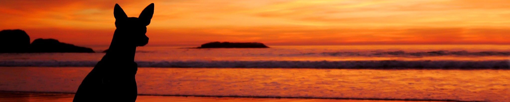 Cover for Kevin Hagins's Obituary